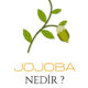 Jojoba Nedir ?